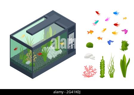 Isometric Goldfish in the Freshwater Aquarium and Set of Aquarium Underwater Elements, Fish, Corals, Green Planted Tropical, Stones Isolated on White Stock Vector