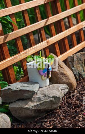 Flower pot and wooden fence in the garden, Stock Photo