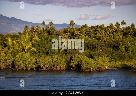 Mangroves, palm trees and lush vegetation with mountains behind, Port Denarau, near Nadi, Viti Levu, Fiji Islands, South Pacific Stock Photo