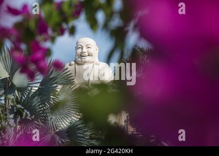 Giant Buddha statue at the Vinh Trang Pagoda, My Tho, Tien Giang, Vietnam, Asia Stock Photo