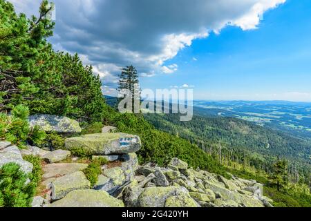 Steinernes Meer in the Bavarian Forest, Lower Bavaria, Bavaria, Germany Stock Photo