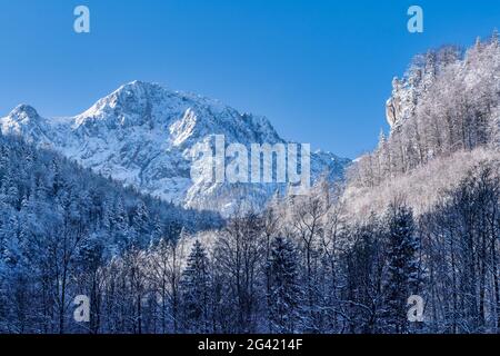 View of the Herzogstand on a cold winter morning, Kochel am See, Bavaria, Germany, Europe Stock Photo
