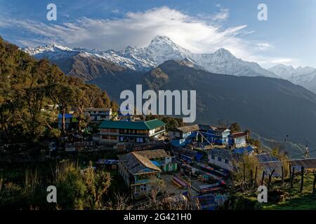 The morning wakes up in Tadapani, Nepal, Himalayas, Asia. Stock Photo