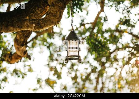 Vintage hanging street lamp on a tree branch against a background of leaves. Stock Photo