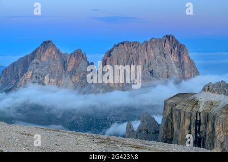 Grohmannspitze, Fünffingerspitze and Langkofel at the blue hour, from the Sella Group, Sella Group, Dolomites, UNESCO World Natural Heritage Dolomites Stock Photo
