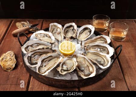 Oysters on a rustic table. A dozen of fresh oysters with lemons and wine Stock Photo