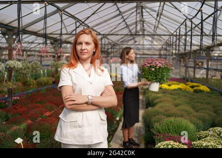 Smiling Greenhouse owner posing with folded arms having many flowers in background and a colleague holding a pot with pink chrysanthemums under glass roof Stock Photo