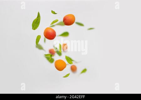 Falling juicy ripe apricot with green leaves isolated on white background. Flying defocusing slices of fruit. Stock Photo