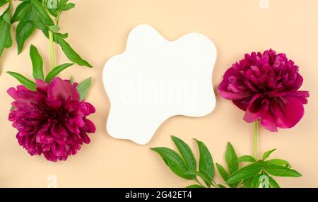 White plaster podium for advertising cosmetic products and peony flowers on a pale yellow background Stock Photo