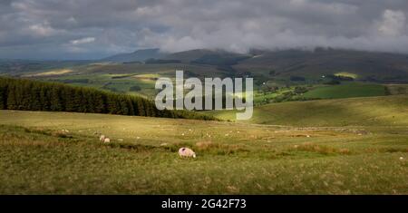 Low clouds over the rolling hills of the Brecon Beacons in South Wales UK Stock Photo