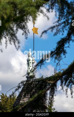 EAST GRINSTEAD,  WEST SUSSEX/UK - AUGUST 3 :  View of the Sackville Ounce or Snow Leopard at Sackville College East Grinstead We Stock Photo