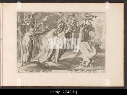 Phaëthon's sisters turn into poplars and his friend in a swan; Ovidius' metamorphoses; Reflections by P. Ovidius Naso. The daughters of the sun god (Helias) mourn to their brother Phaeton and turn into poplars. The tears change into amber. The mother embraces them for the last time. Phaëtons boyfriend and related cycles already changes mourning into a swan. Under the show twice two fresh rules in Latin. The print is part of an album. Stock Photo