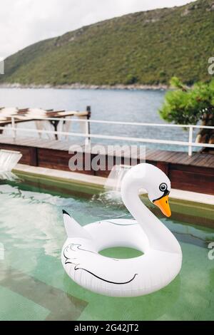 An inflatable swimming circle in the shape of a white swan floats in the pool. Stock Photo