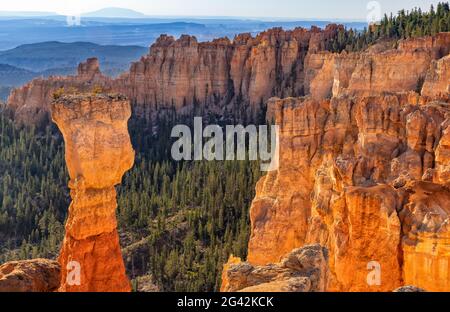 Morning Bounce Light in Agua Canyon surrounds the Hunter Hoodoo in Bryce Canyon National Park, Utah Stock Photo