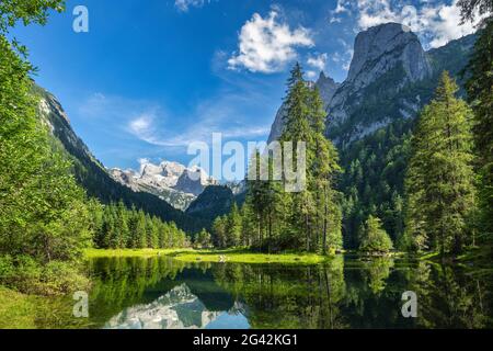 View over the Gosaulacke to the Dachstein, Gosau, Gosauseen, Upper Austria, Austria, Europe Stock Photo