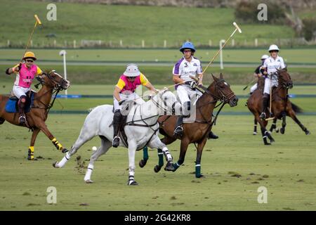 MIDHURST, WEST SUSSEX/UK - SEPTEMBER 1 : Playing polo in Midhurst, West Sussex on September 1, 2020.  Unidentified people Stock Photo