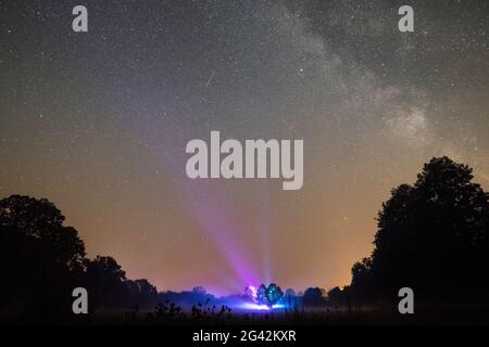 Tree in front of a cloudless starry sky with laser show, Germany, Brandenburg, Spreewald Stock Photo
