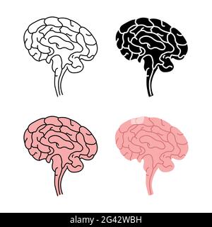 Healthy human brain side view vector illustration isolated on white background Stock Photo