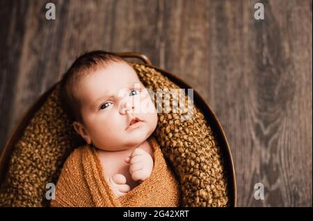 Newborn baby girl wrapped in a knitted brown blanket looking into the camera Stock Photo