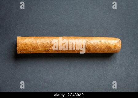 Brown cuban cigar isolated on grey Stock Photo