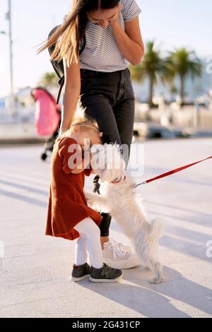 Small white dog is licking a 2-year old girl's face Stock Photo