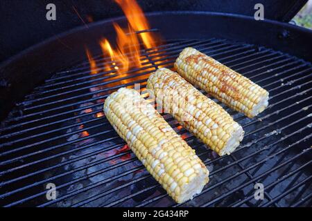 Grilled seasoned sweetcorn on a backyard charcoal barbecue Stock Photo