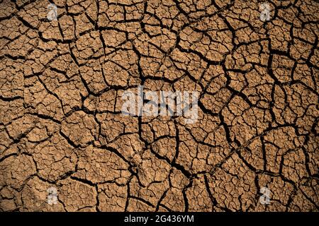 Brown dry ground with cracks Stock Photo