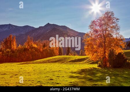 Mountain landscape in the backlight near Hundham, Bavaria, Germany Stock Photo
