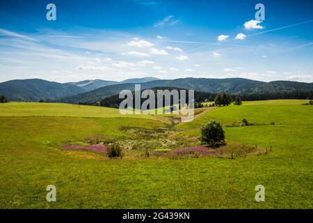 View from Schauinsland to Feldberg, Black Forest, Baden-Wuerttemberg, Germany