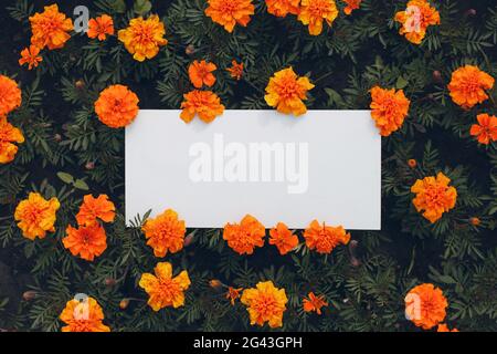 White paper poster with copy space on flowerbed. Blank template sheet without inscription in flowers. Stock Photo