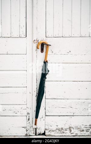 Umbrella cane on a white background. A black umbrella cane with a light wooden handle hangs on a white old wooden door Stock Photo