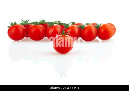 Cherry tomatoes on a branch on a fell background. Isolated. Stock Photo