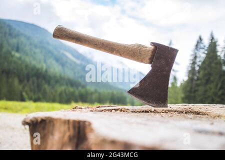 Getting wood for fire: Close up of axe attached to a tree trunk, countryside Stock Photo