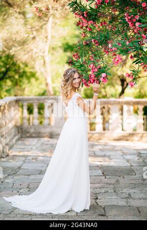 A bride on the site near the ancient church in Prcanj, sniffing pink flowers on the lush branches of oleander Stock Photo