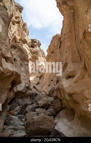 The Rings Loop Trail in the Mojave National Preserve. Stock Photo