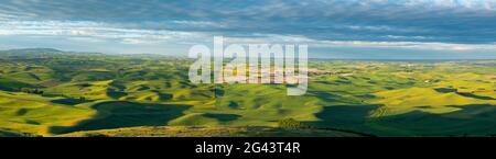Landscape with green rolling hills seen from Steptor Butte, Palouse, Whitman County, Washington, USA Stock Photo