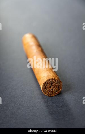 Brown cuban cigar isolated on grey Stock Photo