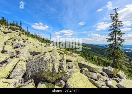 Steinernes Meer in the Bavarian Forest, Bavaria, Germany Stock Photo
