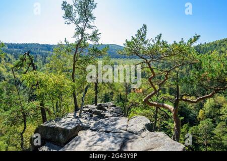 View from the Devil's Wall in South Bohemia, Czech Republic Stock Photo