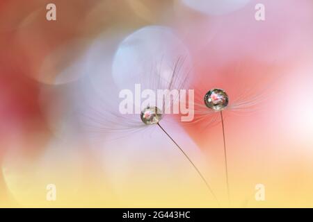 Beautiful Nature Background.Floral Art Design.Abstract Macro Photography.Pastel Flower.Dandelions. Stock Photo