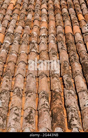 The texture of the old brown shingles on the roof of the building. Stock Photo