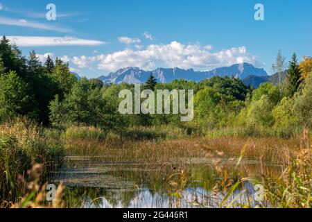 Summer day in the Murnauer Moos, Murnau, Bavaria, Germany, Europe Stock Photo