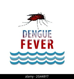 Mosquito, Standing water, public health risk, infectious disease vector ...