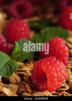 Raspberries lie on granola with mint leaves. Vertical photo. Stock Photo