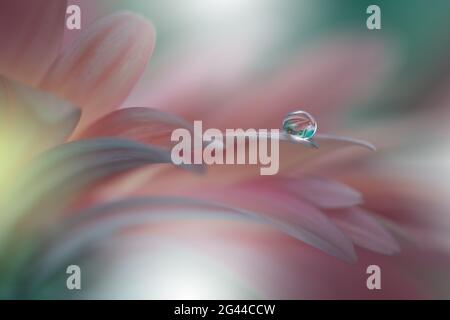 Beautiful Nature Background.Floral Art Design.Abstract Macro Photography.Gerbera Daisy Flower.Pastel Stock Photo