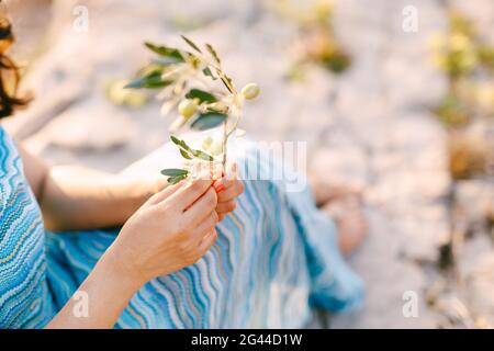Girl in a blue striped dress sits and holds a twig with green olives in her hands Stock Photo