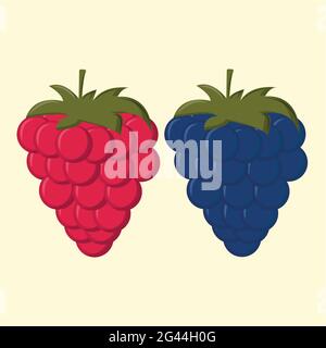 Vector image of a raspberry and blackberry on a  beige   isolated background. Stock Vector