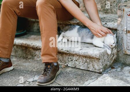 A man in brown trousers sits on the stone steps in the old town and strokes a lying gray cat, close-up Stock Photo