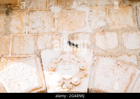 A bird sitting on the ancient wall. Stock Photo