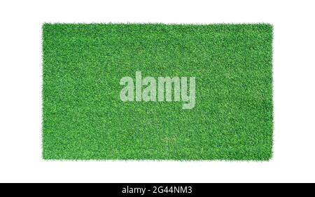 Green grass isolated on white background. Top view Stock Photo